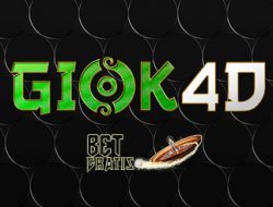 giok4d