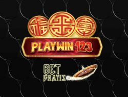 playwin123 playwin123