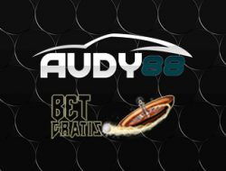 audy88 audy88