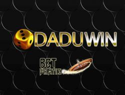daduwin daduwin