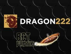 dragon222