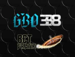 gbo338