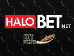 halobet halobet