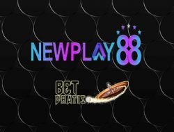 newplay88