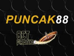 puncak88