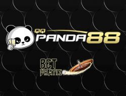 qqpanda88
