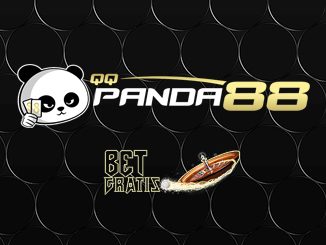 qqpanda88