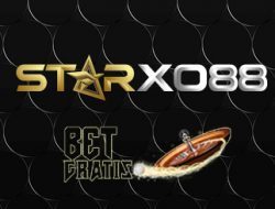 starxo88 starxo88
