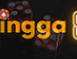 Jingga888 Jingga888