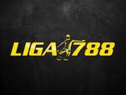 Liga788